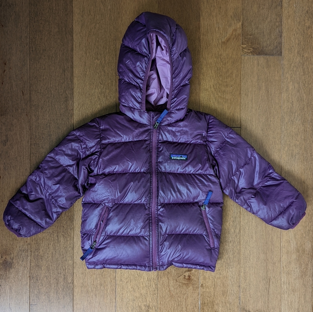 Patagonia Hi Loft Down Sweater Hoody